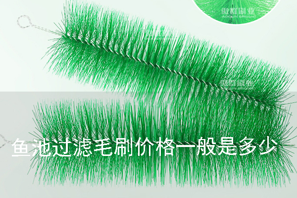 魚池過濾毛刷的價(jià)格一般是多少