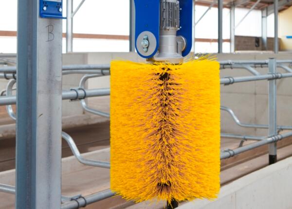 畜牧養(yǎng)殖牛體刷定制方案 畜牧養(yǎng)殖牛體刷定制方案